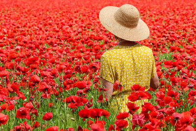 Woman with a straw hat is standing in a red poppy field - view from behind