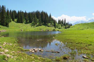 Scenic view of lake against sky