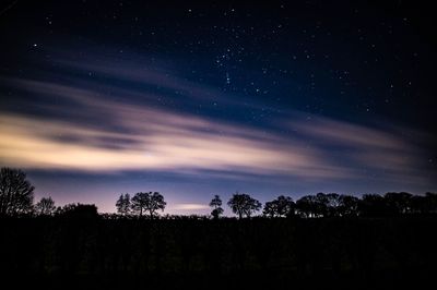 Silhouette trees against sky at night