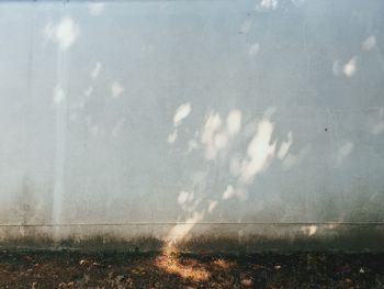 Close-up of wet sky