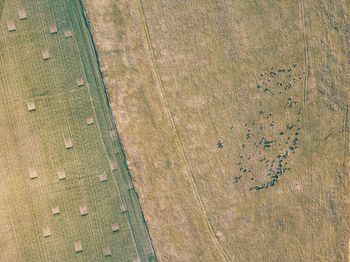 High angle view of field