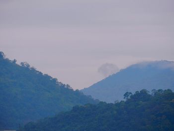 Trees on mountain against sky