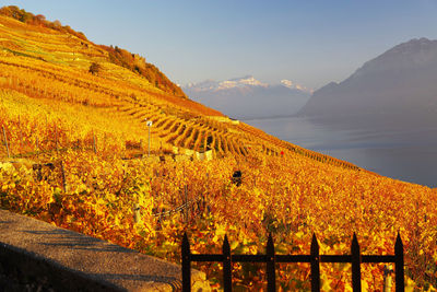 Scenic view of mountains during autumn