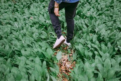 Low section of person standing on field