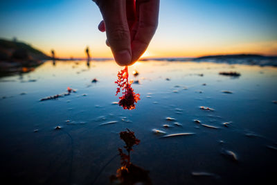 Person holding umbrella at sea shore against sky during sunset