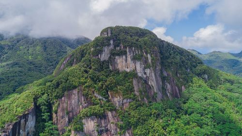 Low angle view of ivy on mountain against sky