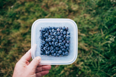 High angle view of hand holding blueberries in bowl