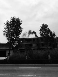 Low angle view of tree against sky
