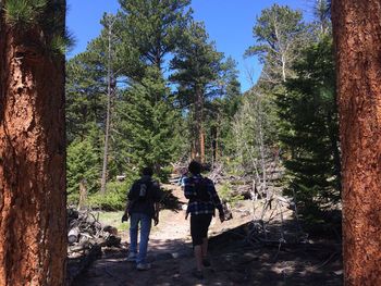 Rear view of friends walking in forest