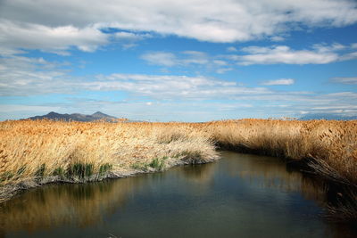 Scenic view of landscape against cloudy sky