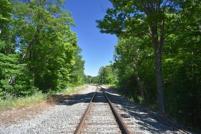 Railroad track on road