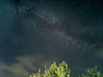 Low angle view of trees against sky at night
