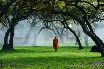 Monk walking in the park,buddhist monk meditating under a tree at ayutthaya