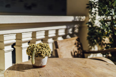 Cactus pot front of the house with coffee corner in the morning