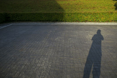 Shadow of person on footpath by street