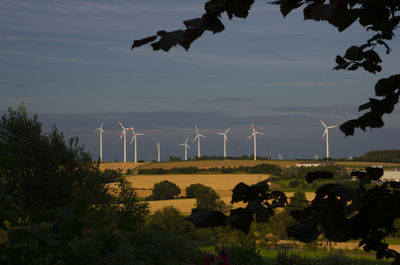 Scenic view of field against sky during sunset