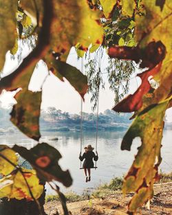 Rear view of man on swing against trees