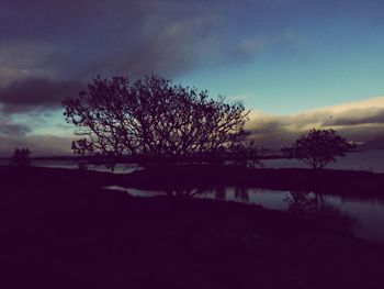 Silhouette of bare tree by lake against cloudy sky