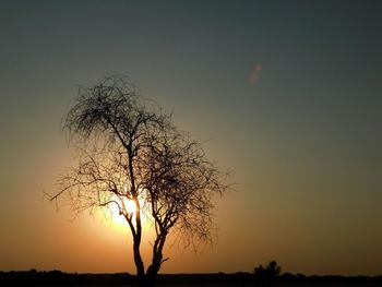 Silhouette bare tree against sky during sunset