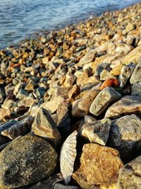 Surface level of pebbles on shore