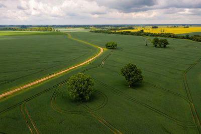 Scenic view of agricultural field