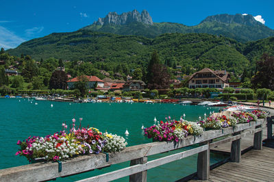 Pier with flowers on the annecy lake at the village of talloires, france.