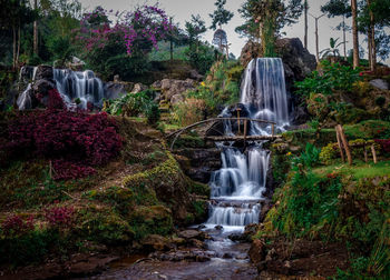 Waterfall in forest