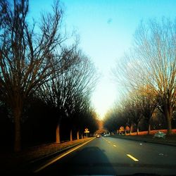 Empty road along trees