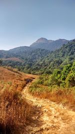 Scenic view of landscape against clear sky