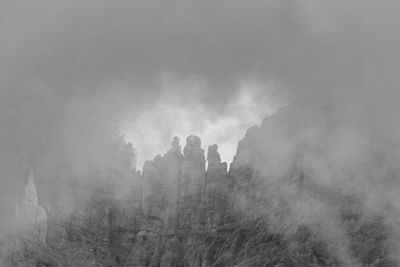 Scenic view of trees against sky during foggy weather