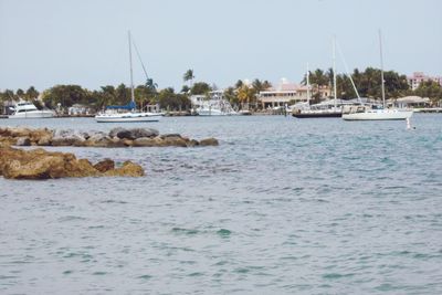 Boats in harbor