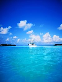 Sailboat sailing in sea against blue sky