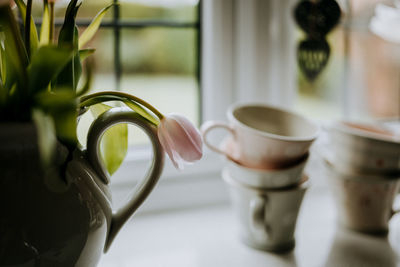 Close-up of potted plant on table