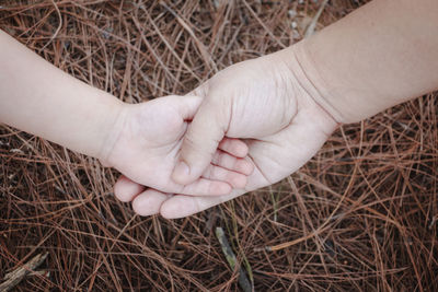 Cropped image of mother and baby holding hands by hay