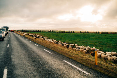 Road amidst agricultural field against sky