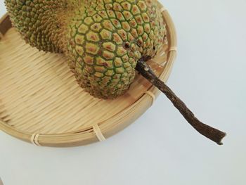High angle view of fruit on table against white background