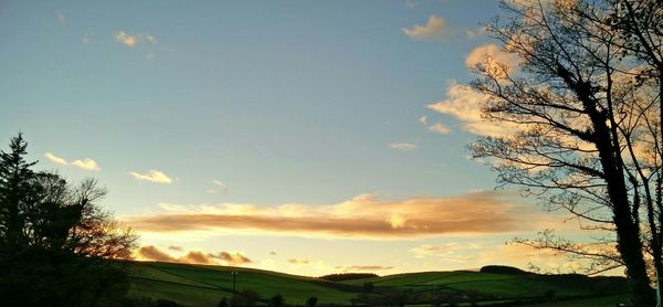 Scenic view of landscape at sunset