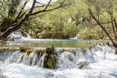 View of waterfall in forest