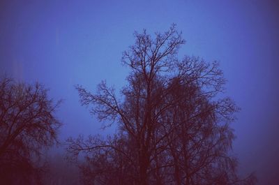 Low angle view of silhouette trees against clear blue sky