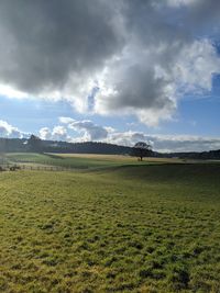 Scenic view of field against sky