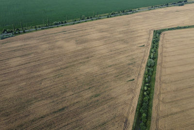 High angle view of agricultural field