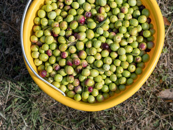 High angle view of fruits