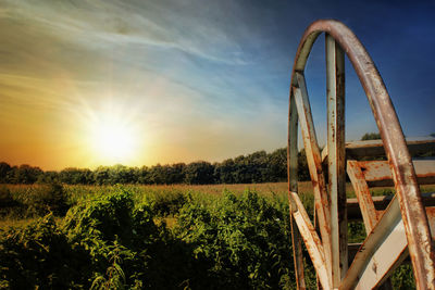 Scenic view of field against sky during sunset