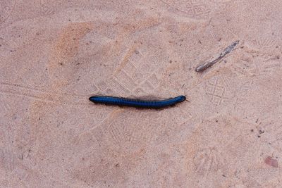 High angle view of shoes on sand