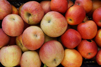 Full frame shot of apples