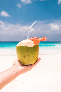 Cropped image of hand holding apple against sky at beach