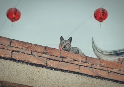 Close-up of red wall