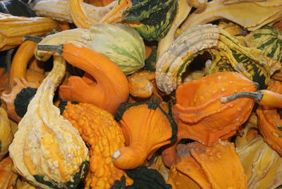 High angle view of pumpkins for sale