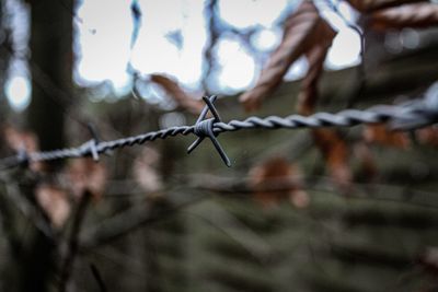 Close-up of barbed wire fence