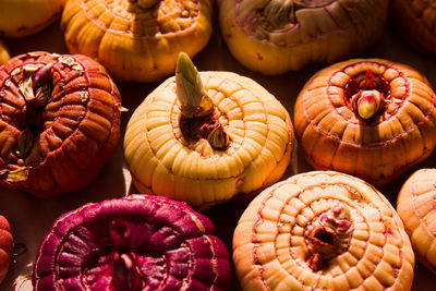 High angle view of pumpkins for sale